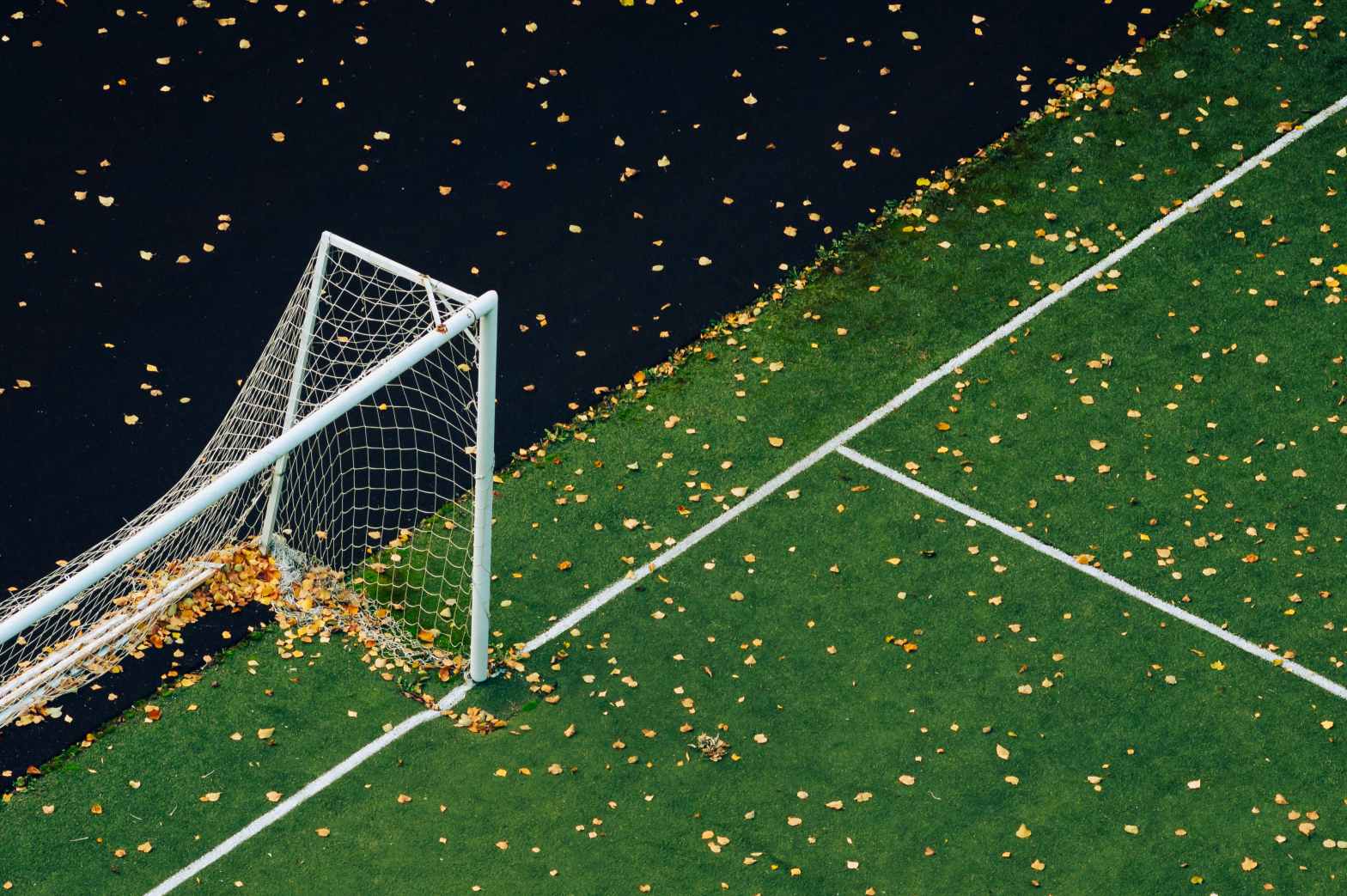 Condannati a rincorrere la felicità