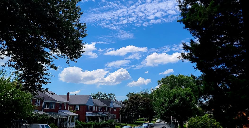 Lingue morte per democrazie&nbsp;vive